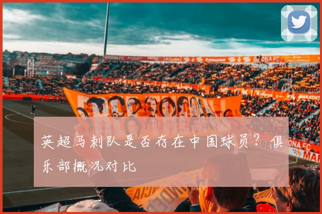 英超马刺队是否存在中国球员?俱乐部概况对比